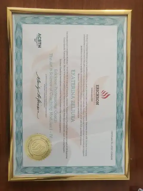 Сертификат 1